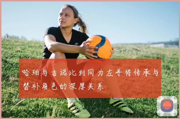 哈珀与吉诺比利同为左手将传承与替补角色的深厚关系