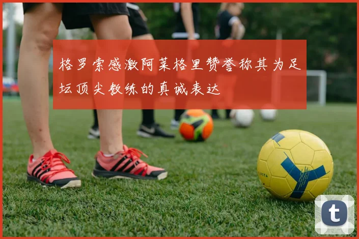 格罗索感激阿莱格里赞誉称其为足坛顶尖教练的真诚表达
