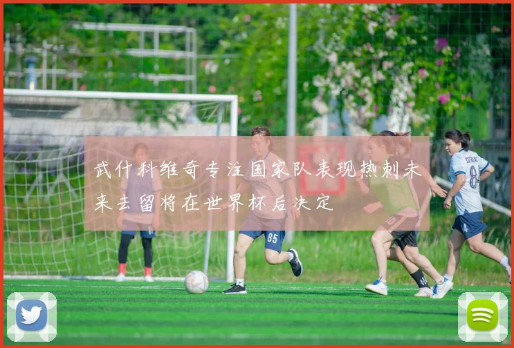 武什科维奇专注国家队表现热刺未来去留将在世界杯后决定