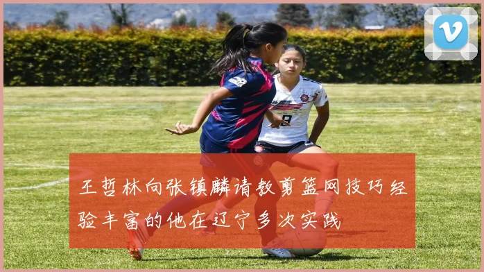 王哲林向张镇麟请教剪篮网技巧经验丰富的他在辽宁多次实践